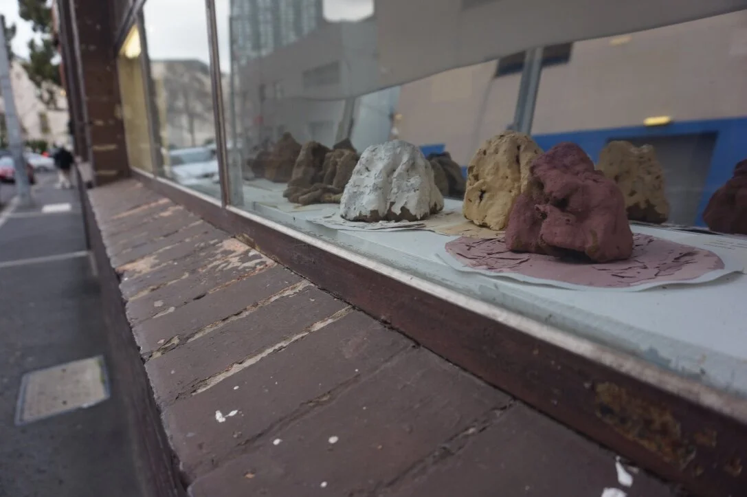 The dioramas were displayed the window boxes at Building 50, RMIT for 20 days. The site was selected because it referenced display of scientific research or collections in museums. The object displayed is temporary.