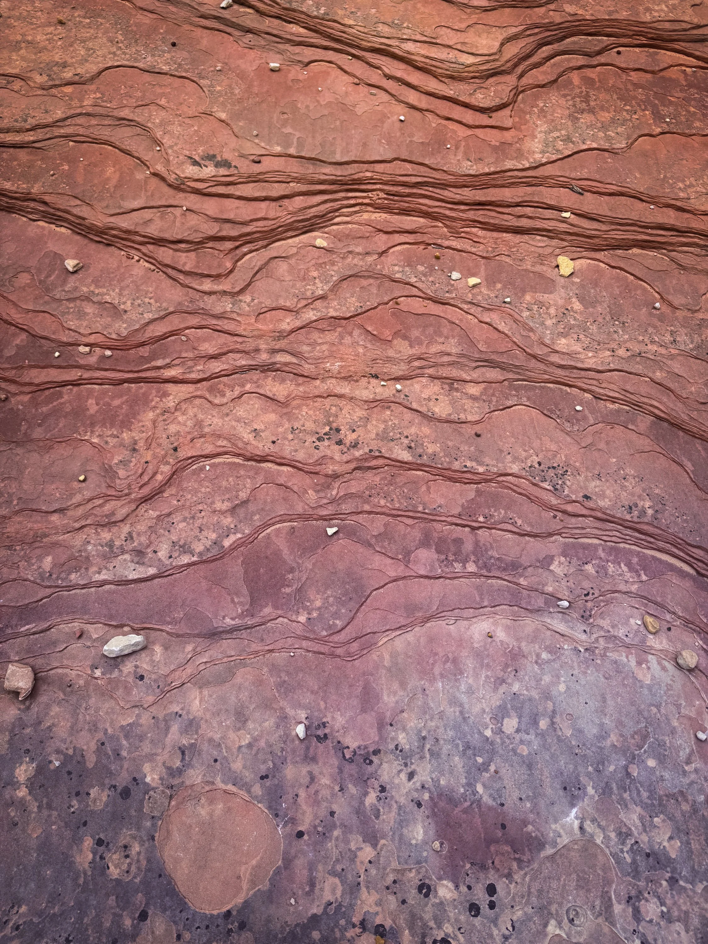 Utah Texture