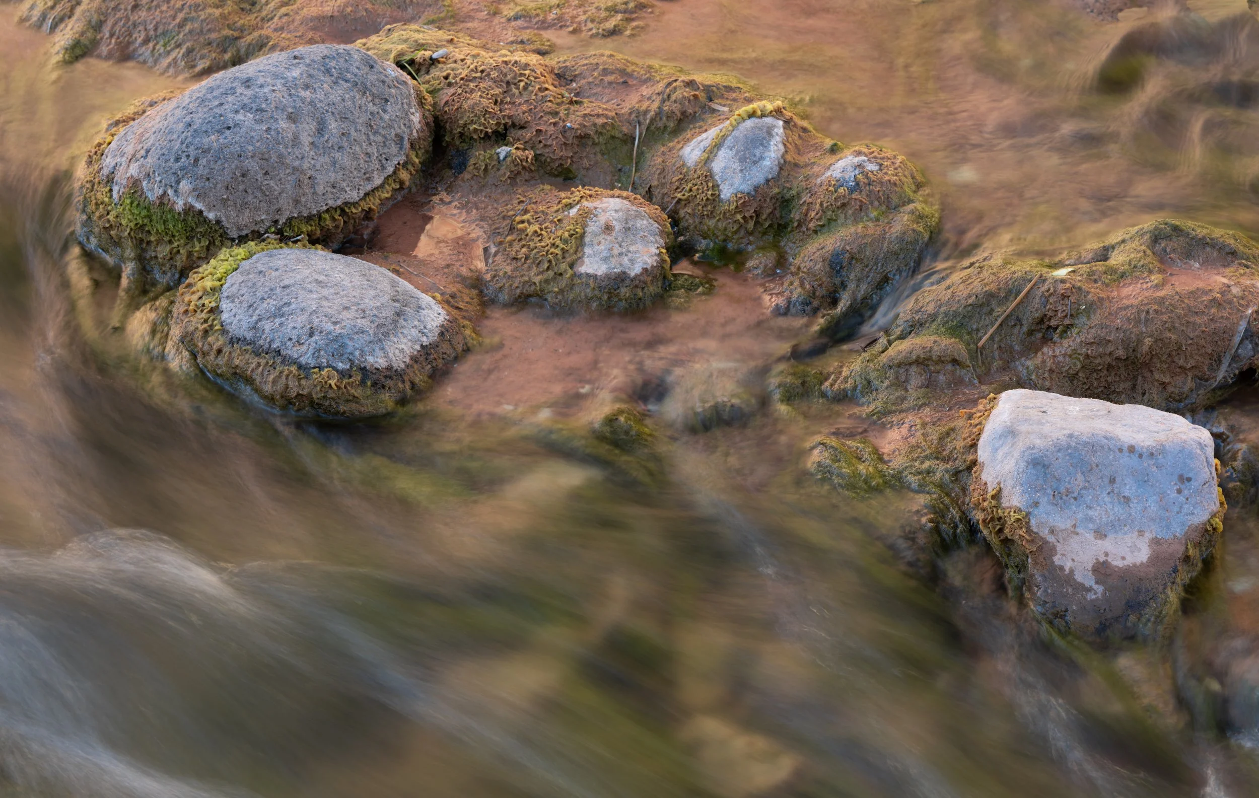 canyon persistence