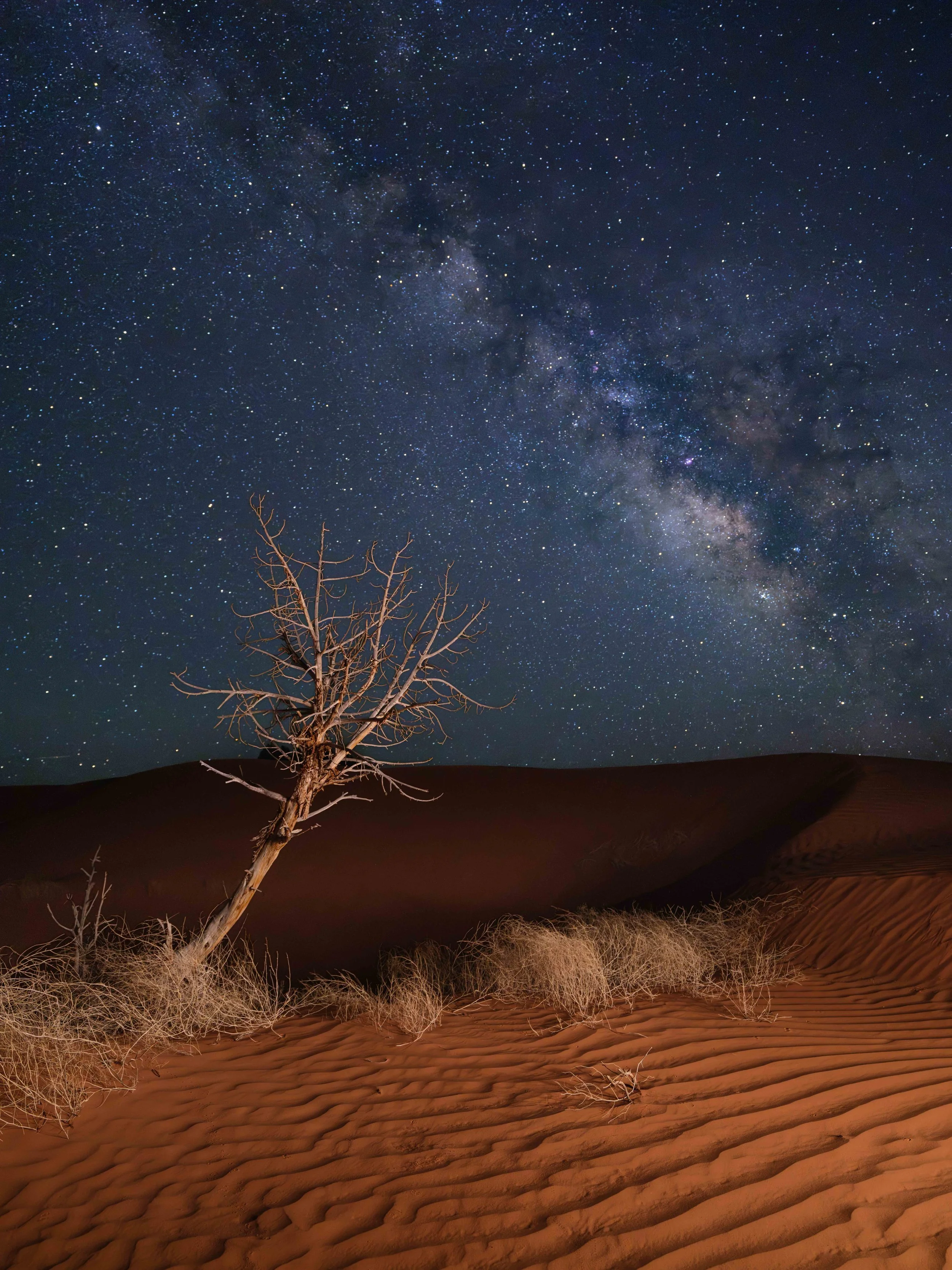 desert wake.jpg