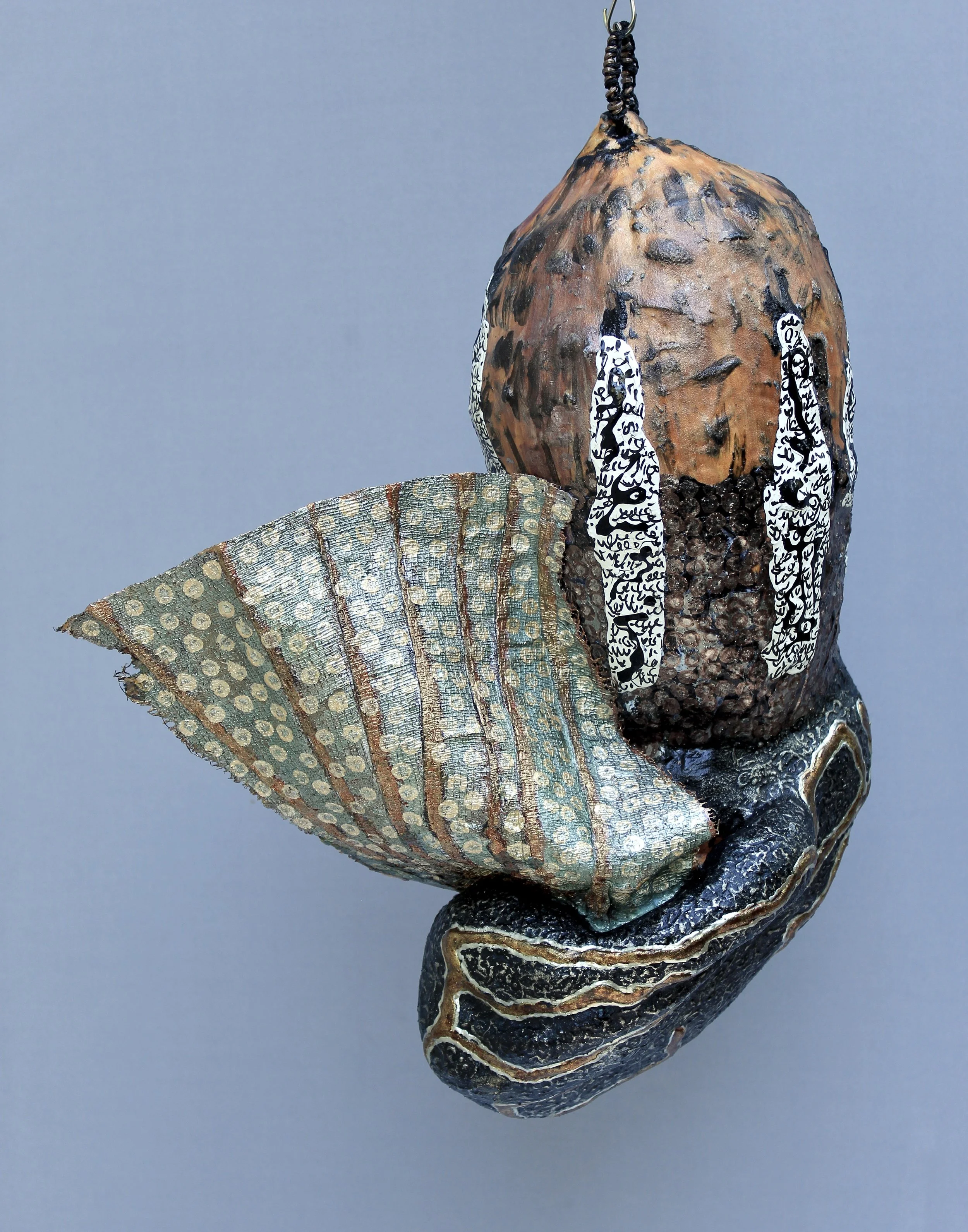 Butterfly Leaving its Cocoon