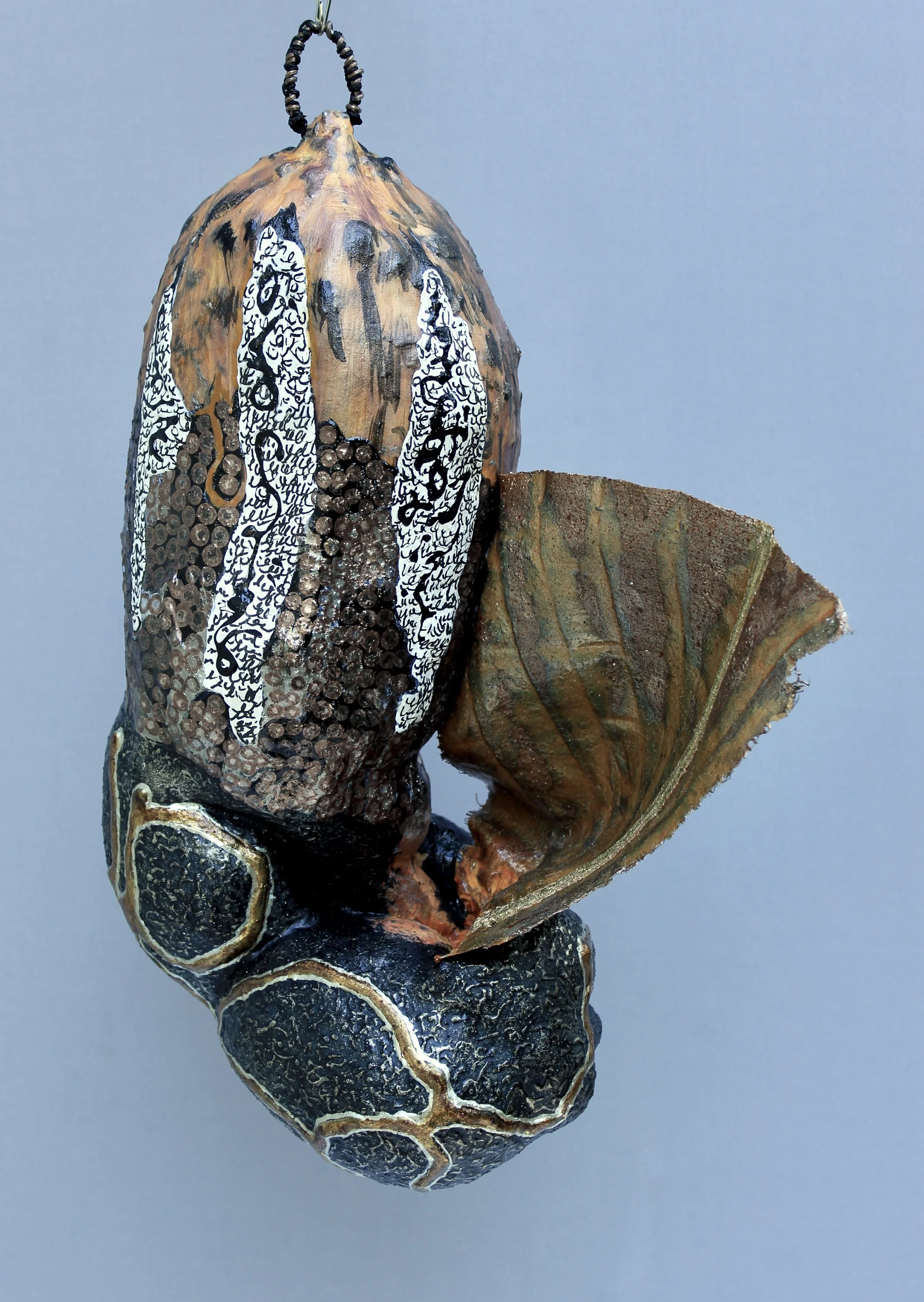 Butterfly Leaving its Cocoon