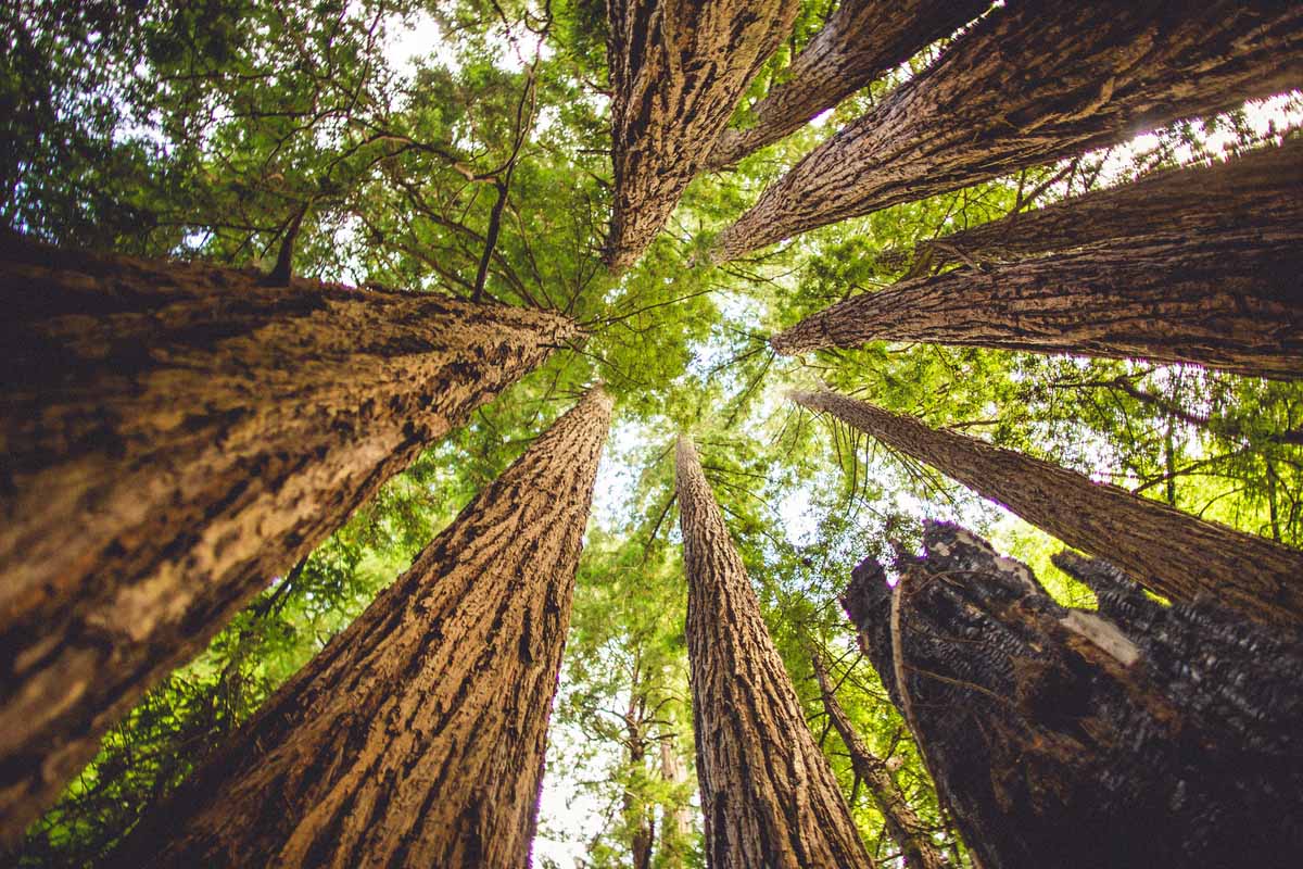 lightstock_3903_small_user_3356992.jpg