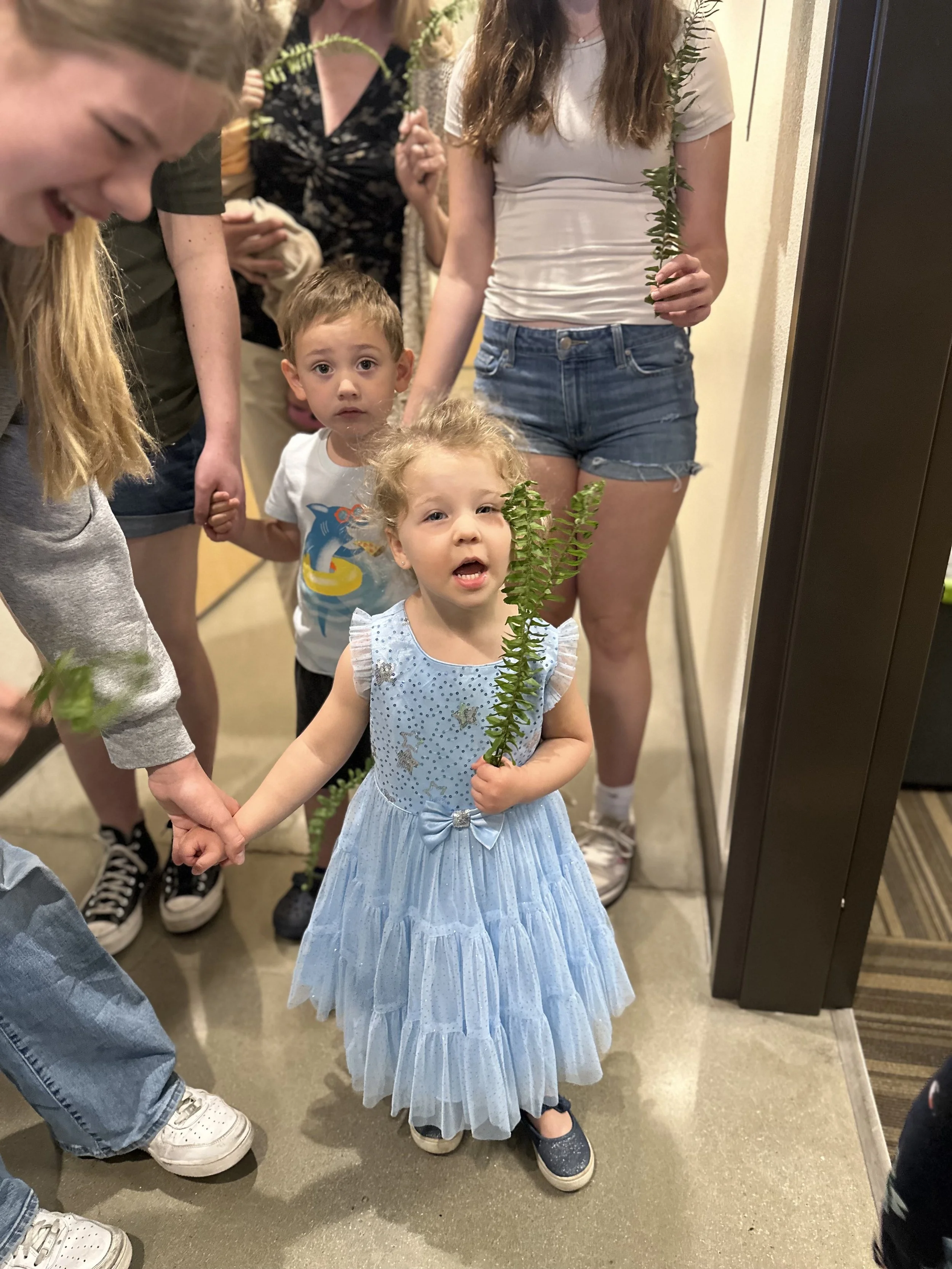 <strong>KIDS</strong><p>Start 