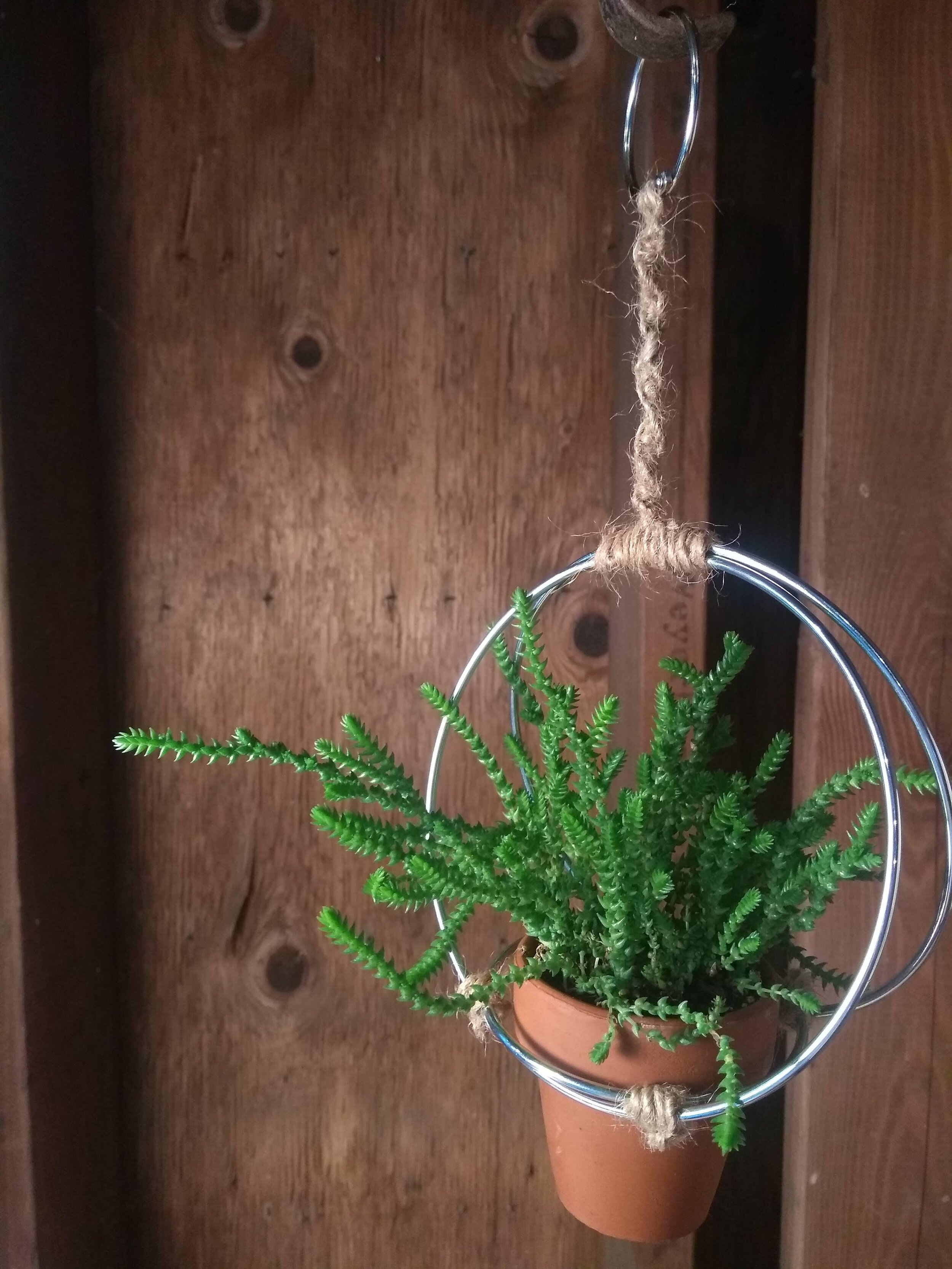 Macrame Hoop Hanger w:Pot .jpg