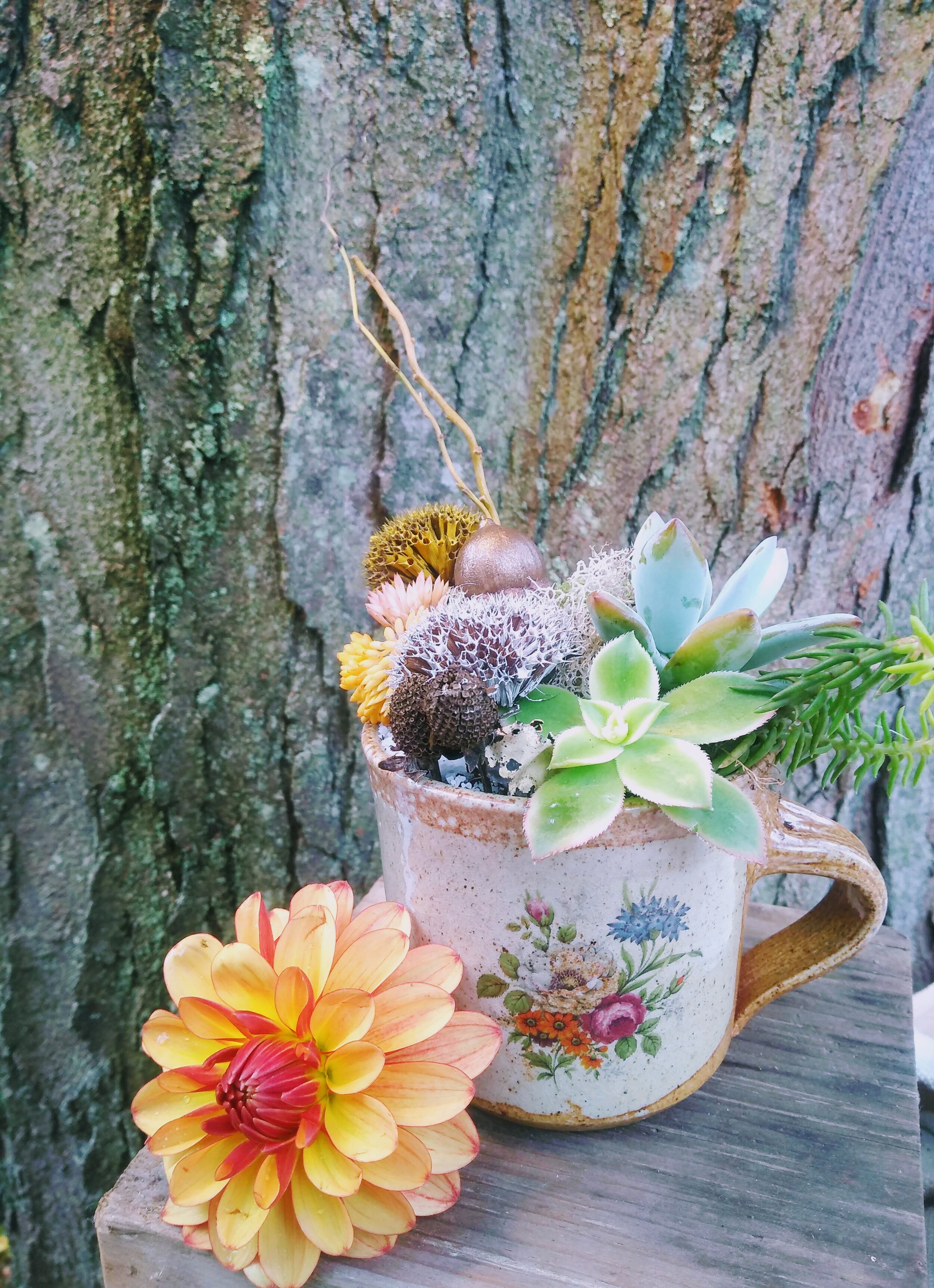 Terracotta Mug Closeup Flower.jpg