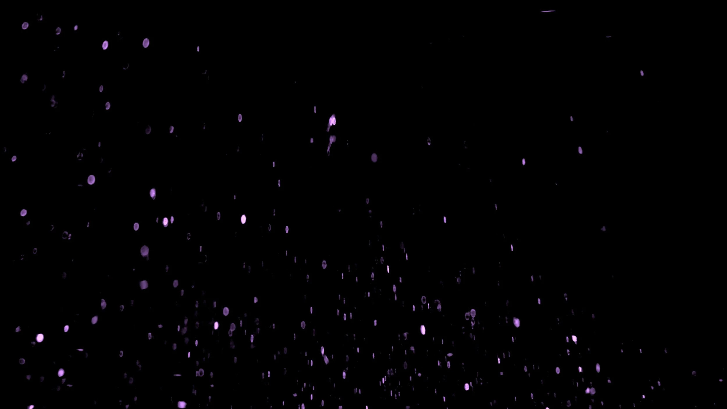 anomaly frame 4.jpg
