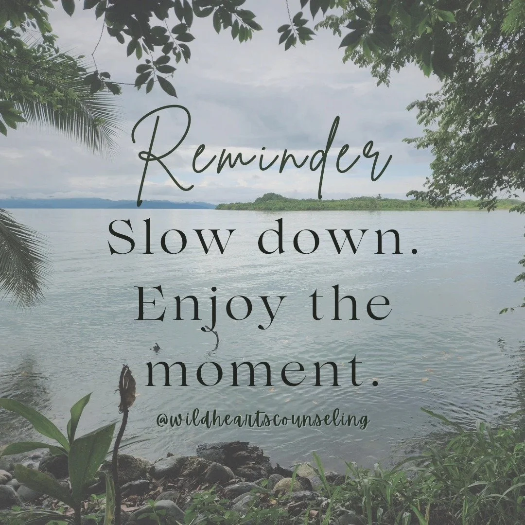 Reminder! Take time to slow down and enjoy the moment. Rest. Recharge. Live in the present. Breathe. Everything else can wait.
#wildheartscounseling #mindfulness #selfcare #slowdown #beinthemoment #healthymind #healthylife #mentalhealthtips #mindfuln