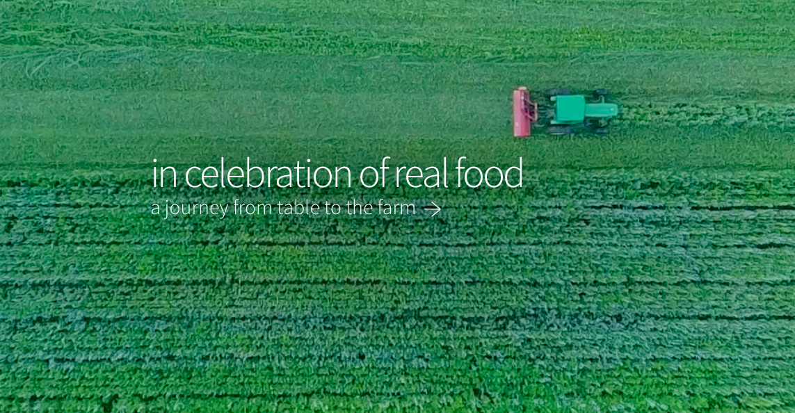 Screen Shot 2019-08-19 at 1.01.27 PM.png