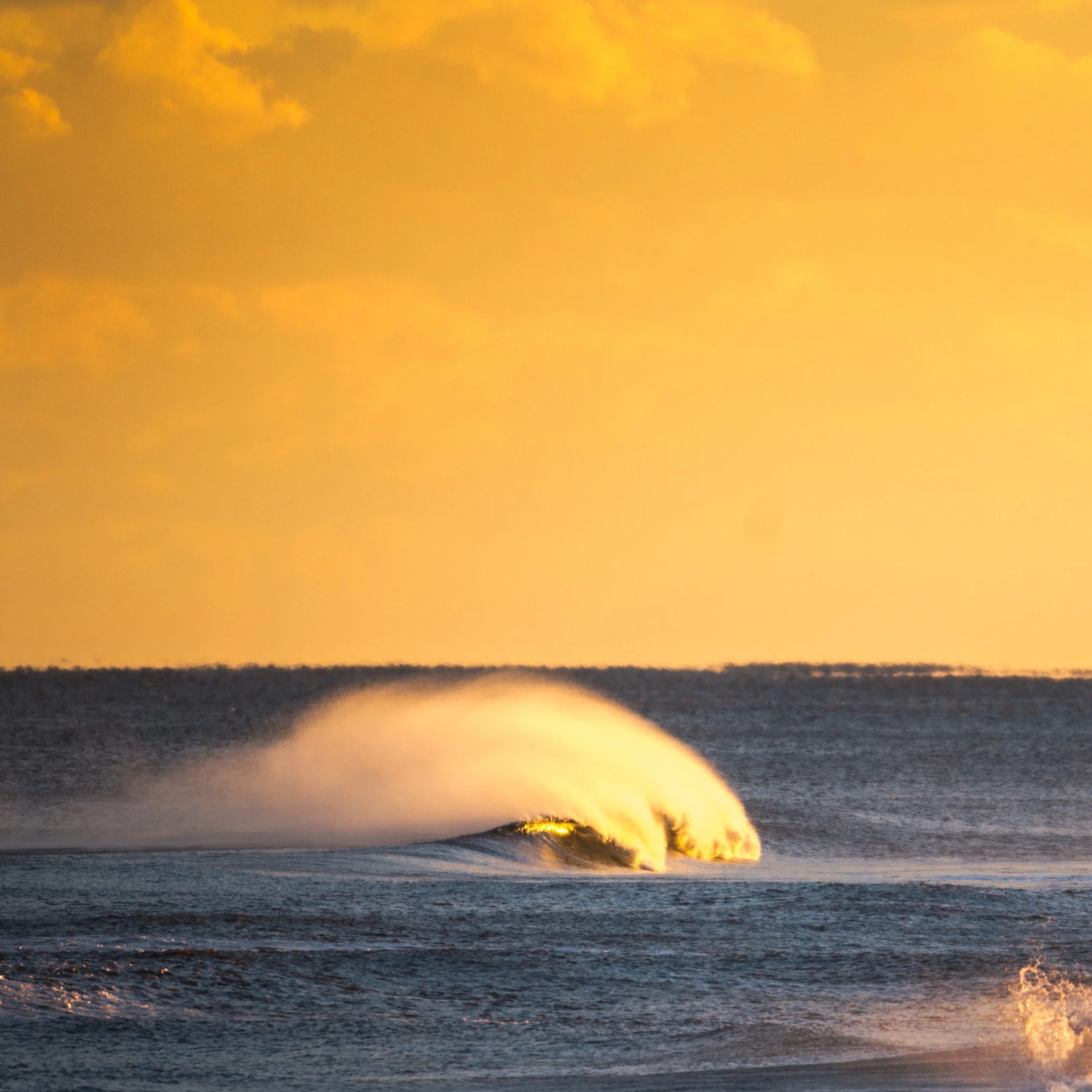 Golden Wave Surf City