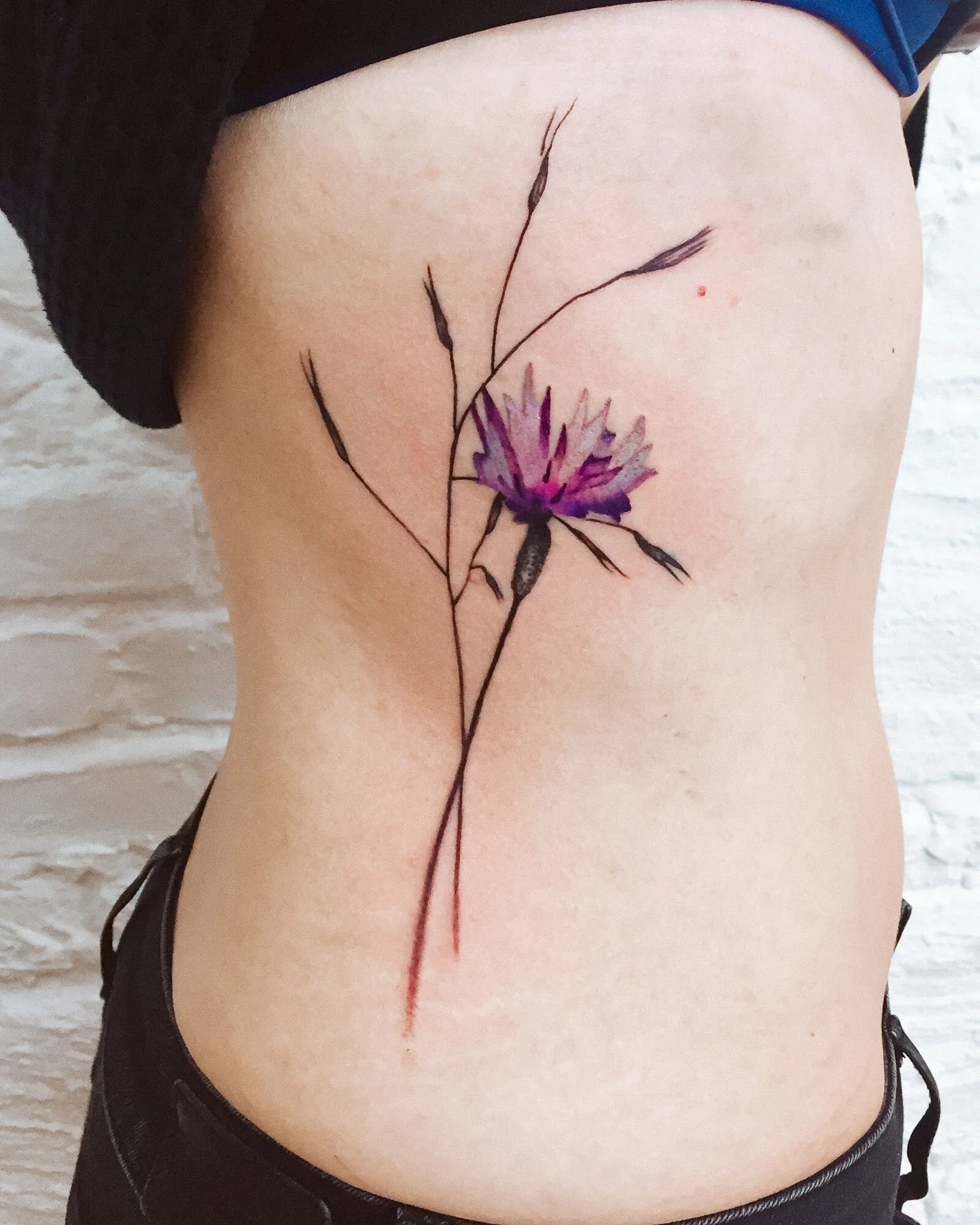 Cornflower-Tattoo-by+Julia-Toebel.jpg.webp