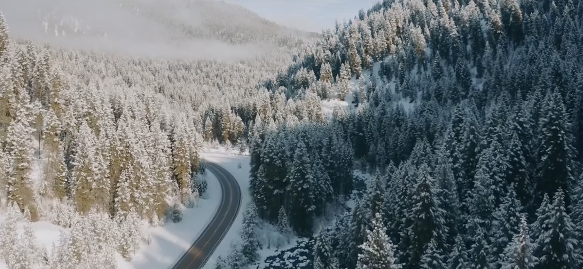 The Magic of McCall 