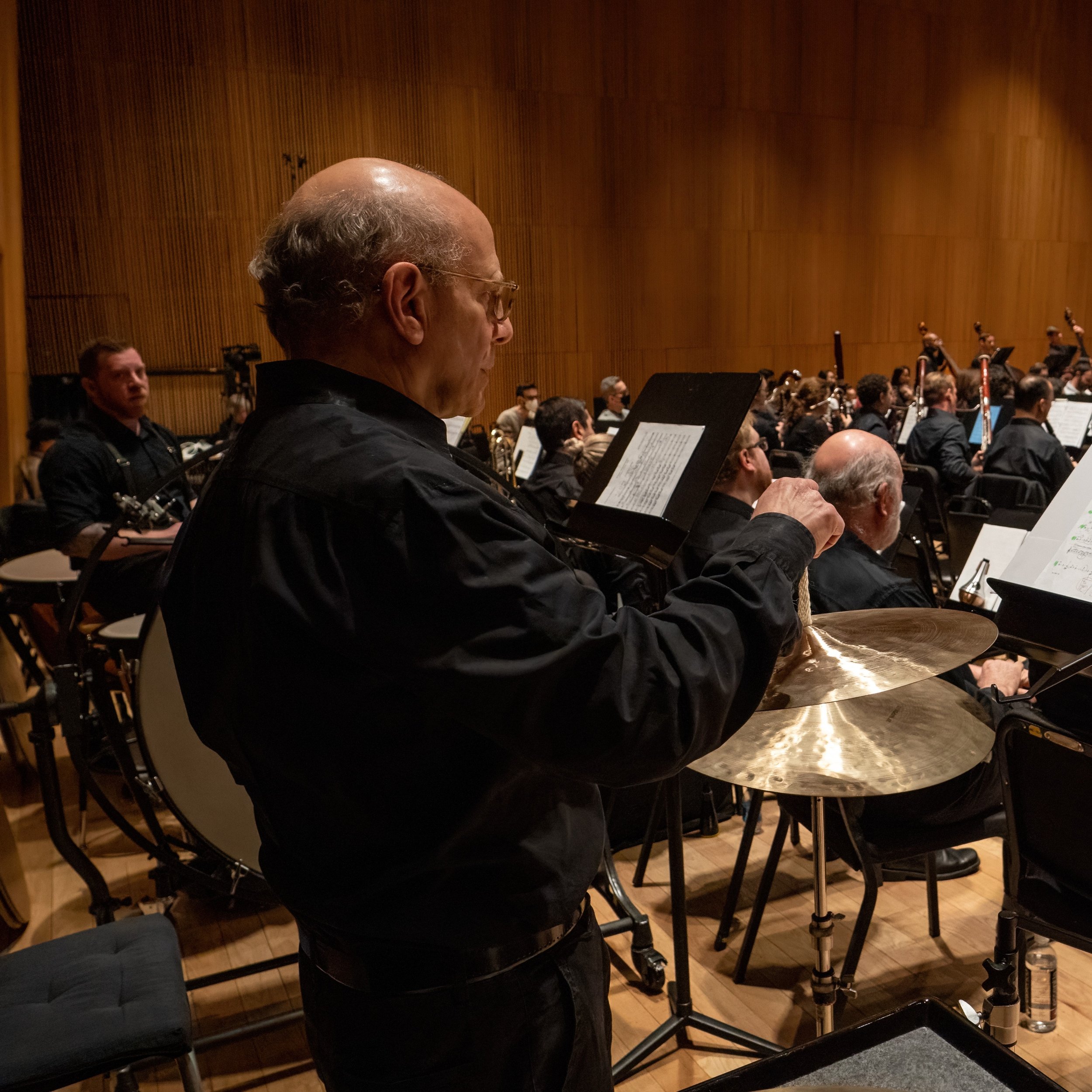 Warren Stein, Percussionist