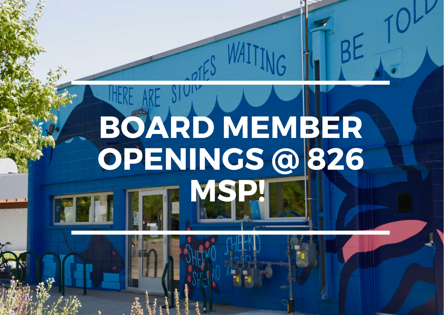 Board Member Openings 
