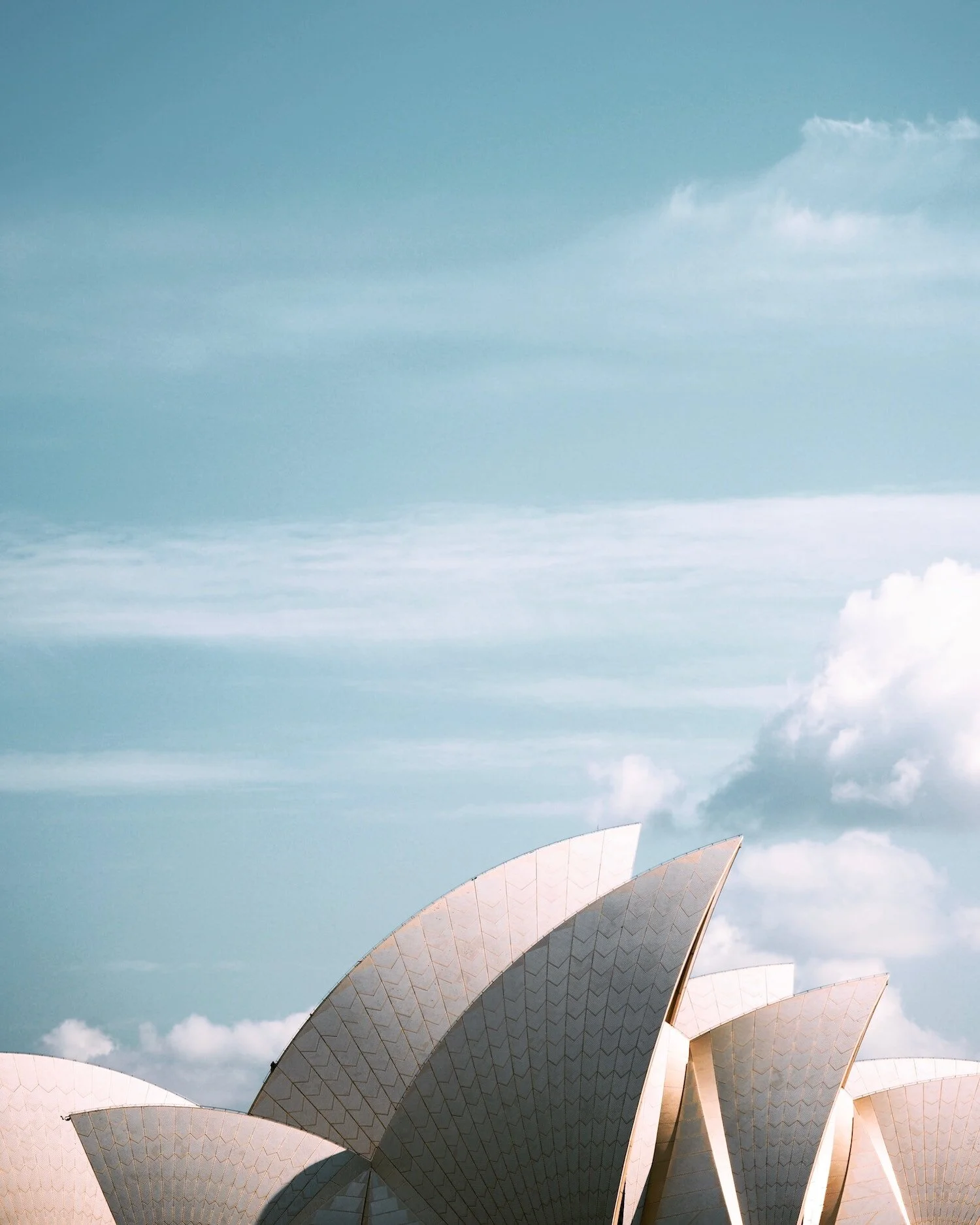 Sydney contact.jpg