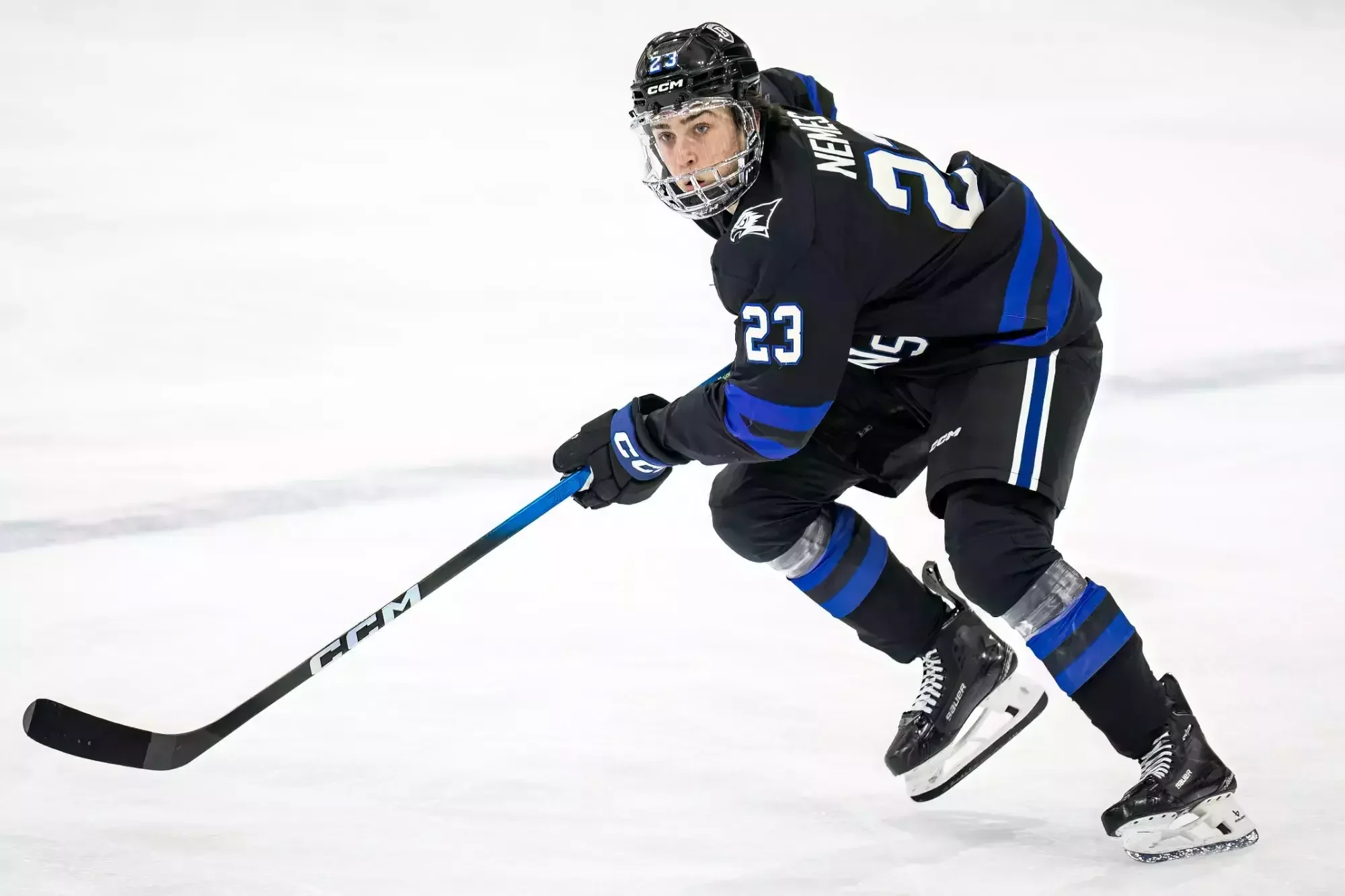 Checking in With Marton Nemes