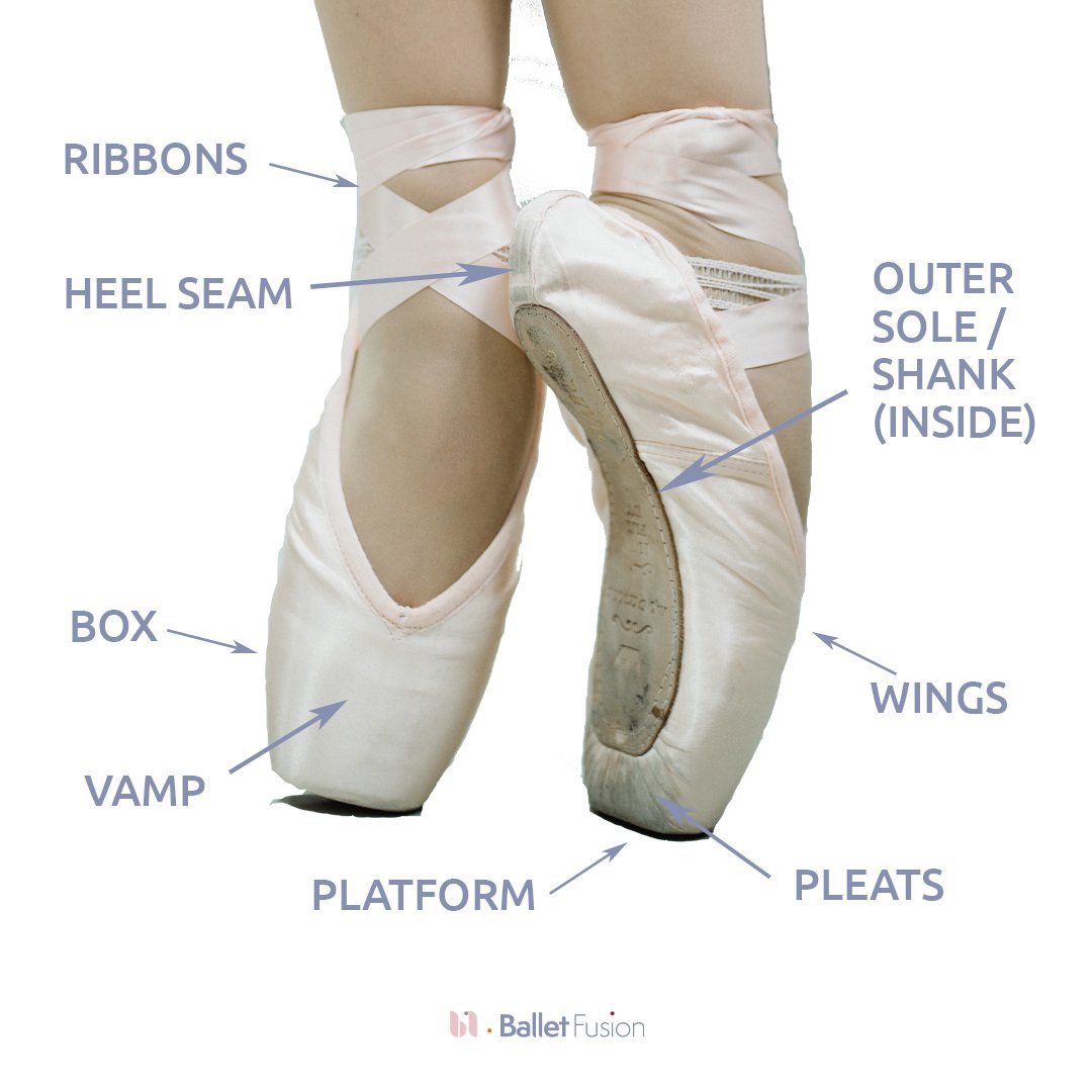 Anatomy of a Pointe Shoe — Ballet Fusion