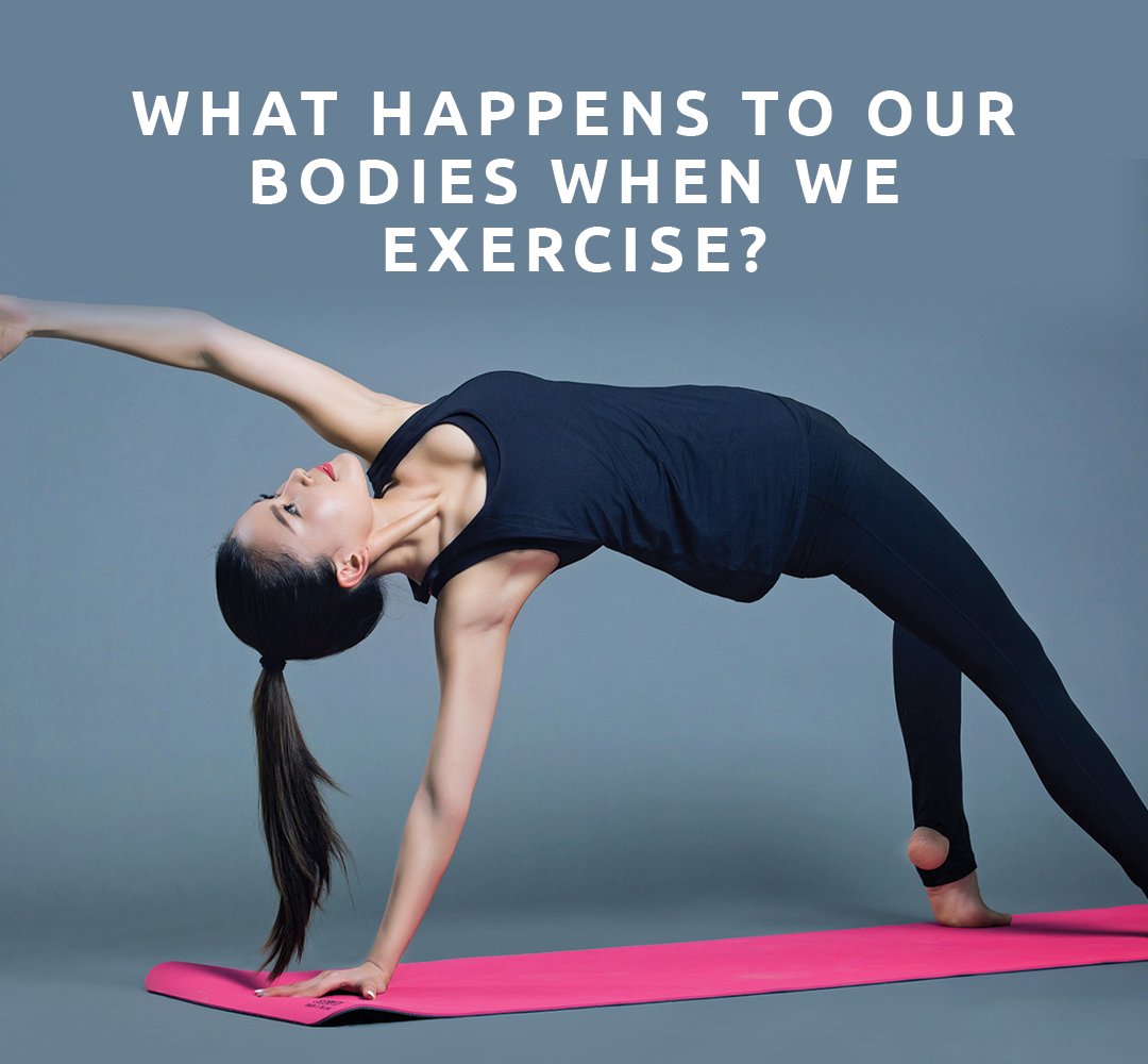 What happens to your body when you dance or exercise? — Ballet Fusion