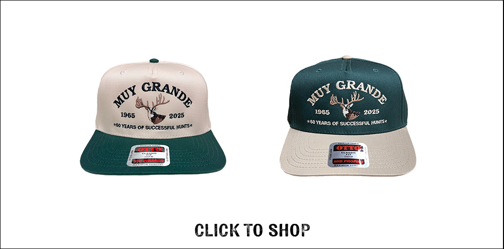 Website,Shop,Hats2.png