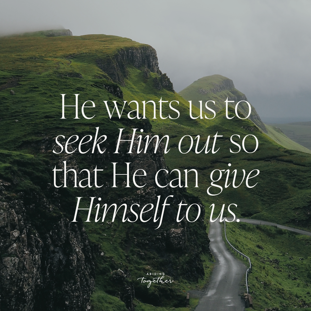 The Reed of God (Advent Study) — Abiding Together