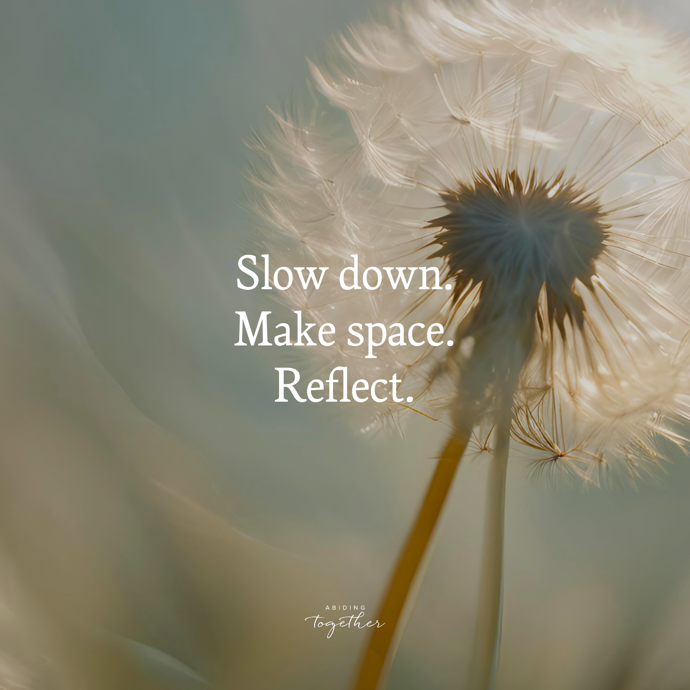 S18 E9 - The Way of Trust and Love: Being Reconciled to Our Weakness (Week 4)