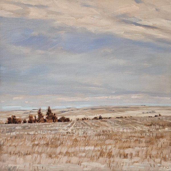 Spring On the Prairies