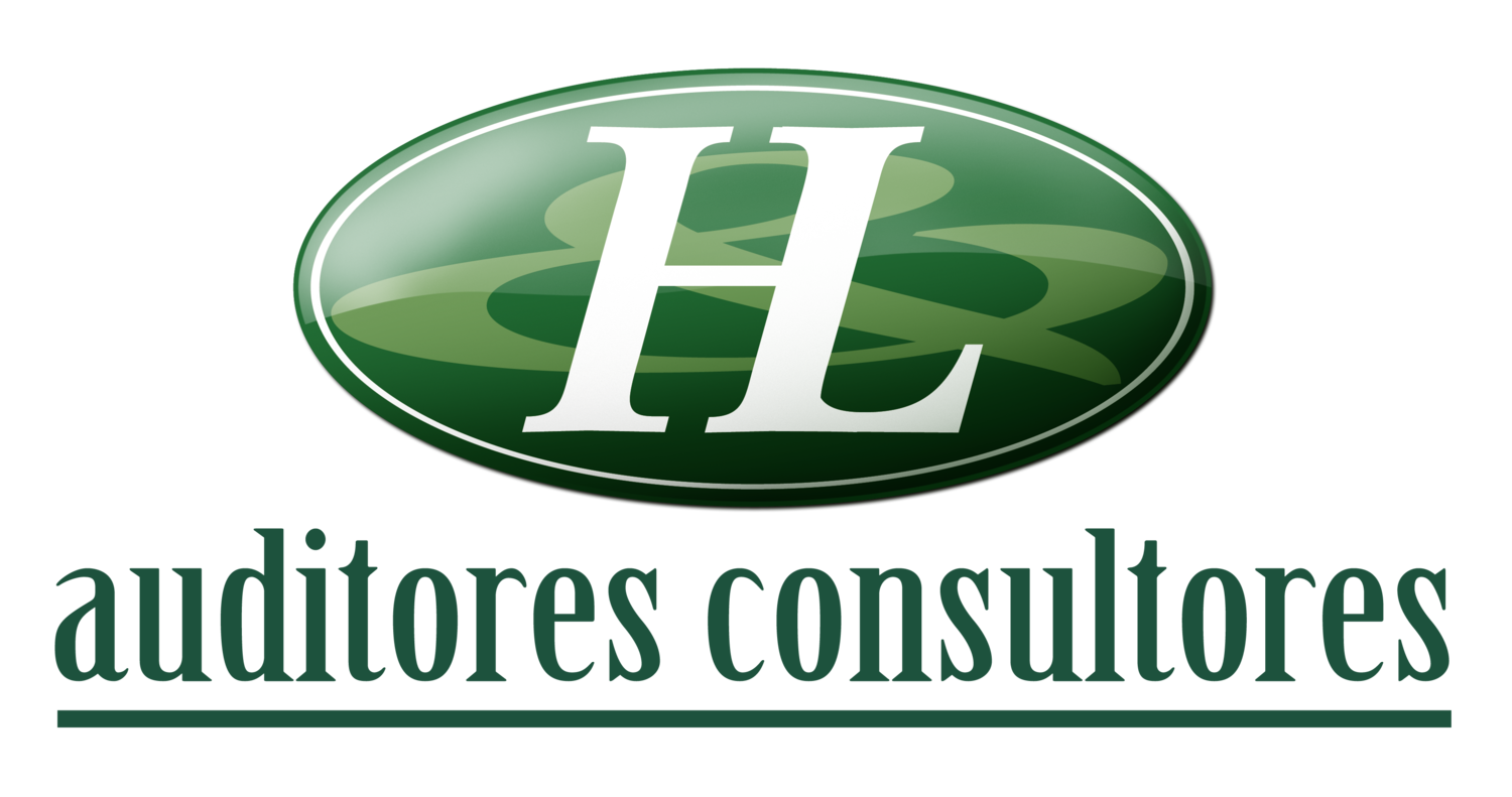 H&L Auditores Consultores