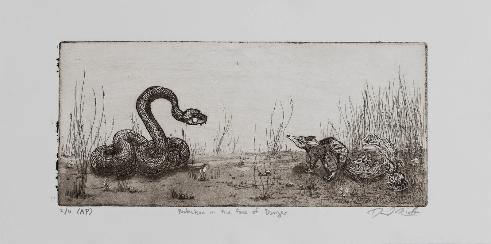 Protection in the Face of Danger