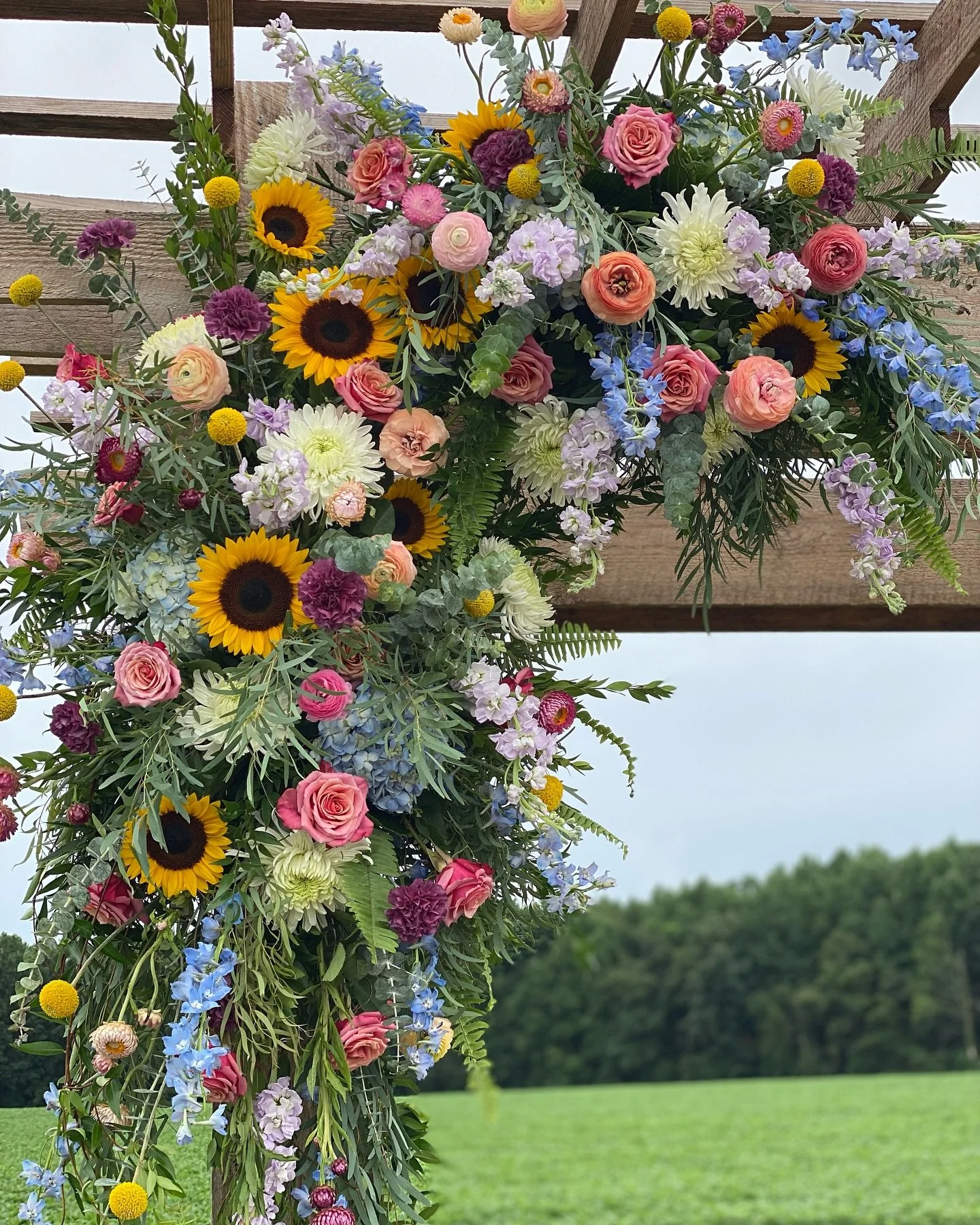 One of my most favorite designs ever was this arbor at @hopkinsheartland Honey Bee Barn from 3 years ago. I love the textures and colorful mix of summer. Sunflowers are difficult to design with as they can steal the show, but this design just flows w