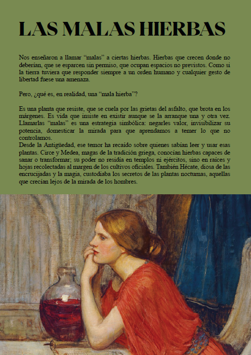 Captura de pantalla (393).png