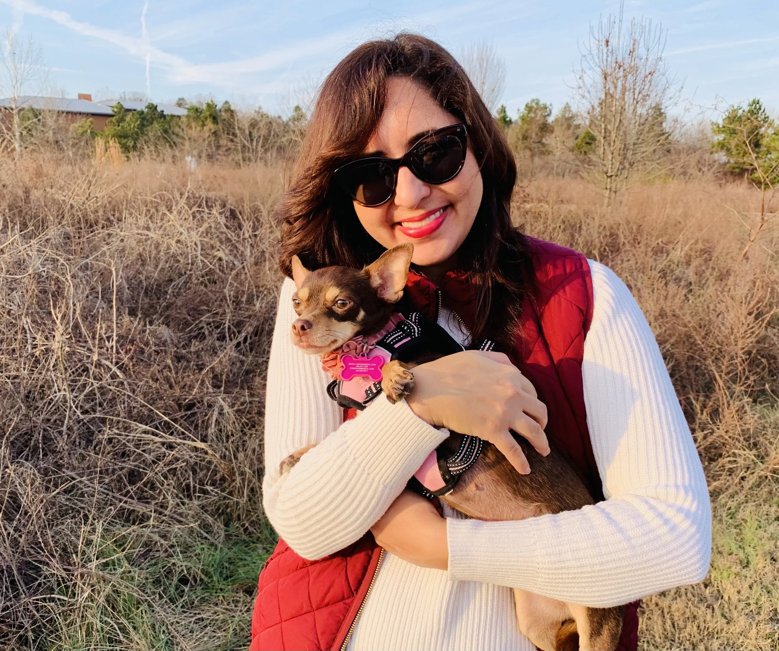I'm a Chihuahua Mom