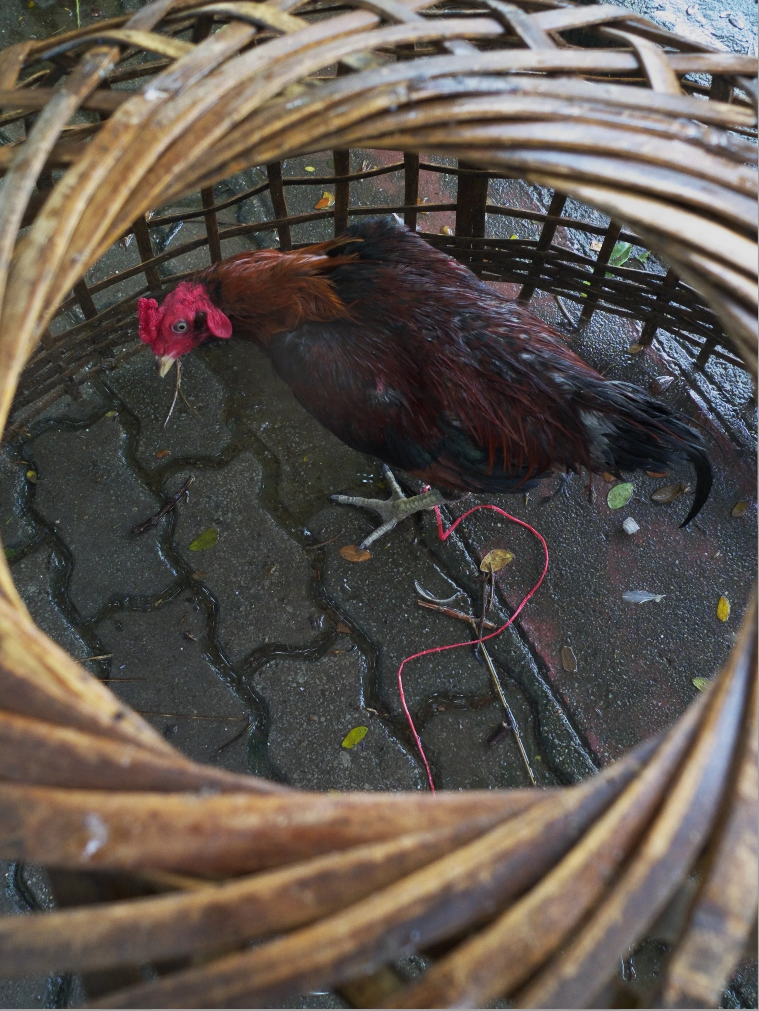 DSCF9128.JPG