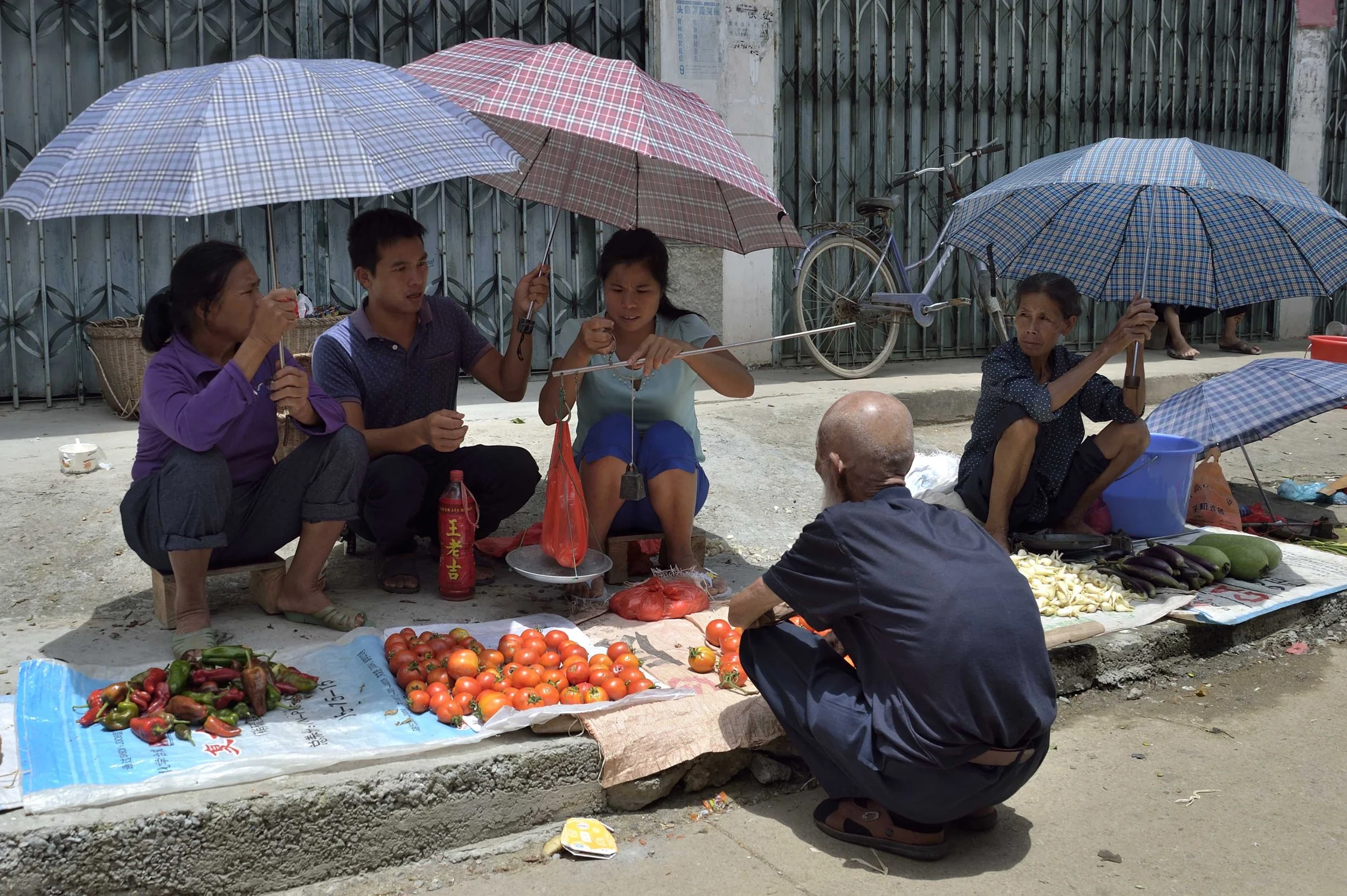 china035.JPG