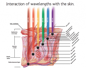 skin & LED light