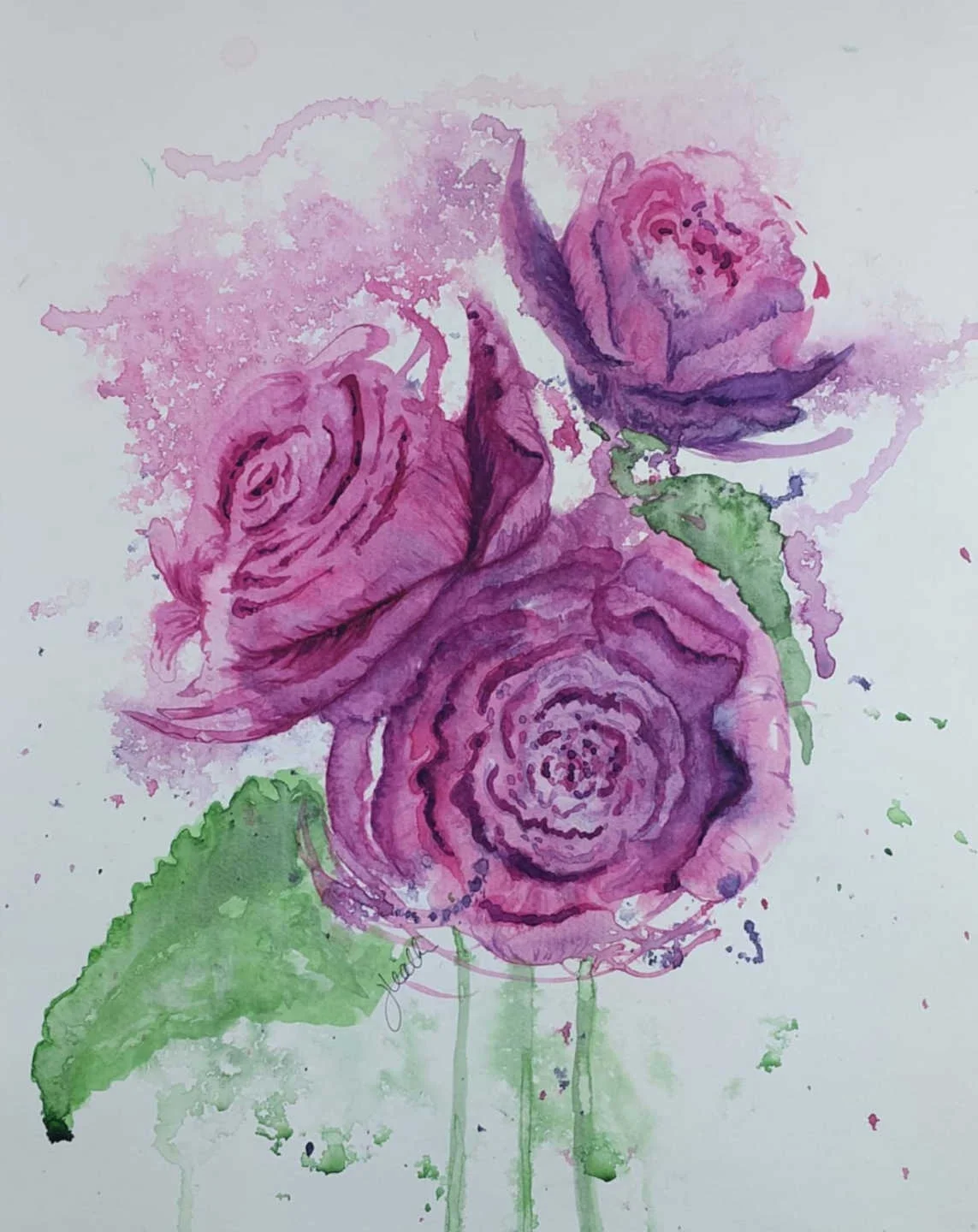 Cabbage Roses 2.jpg