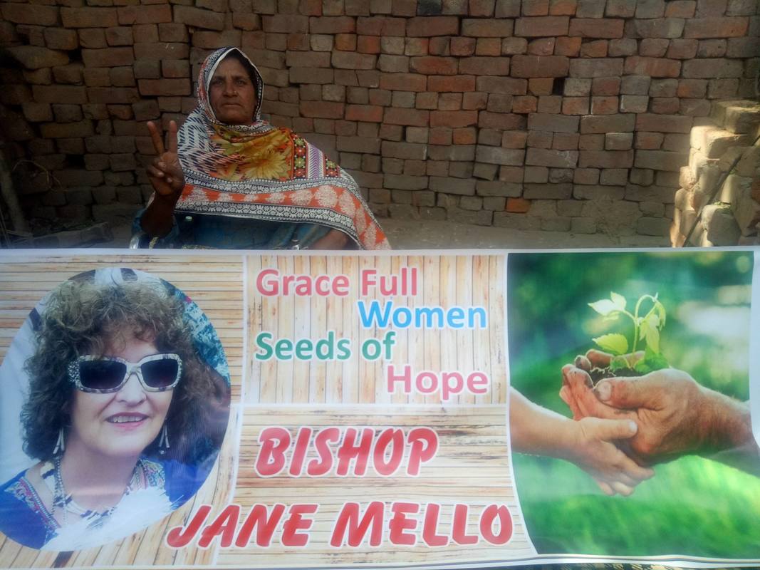 seeds-bashir_orig.jpg