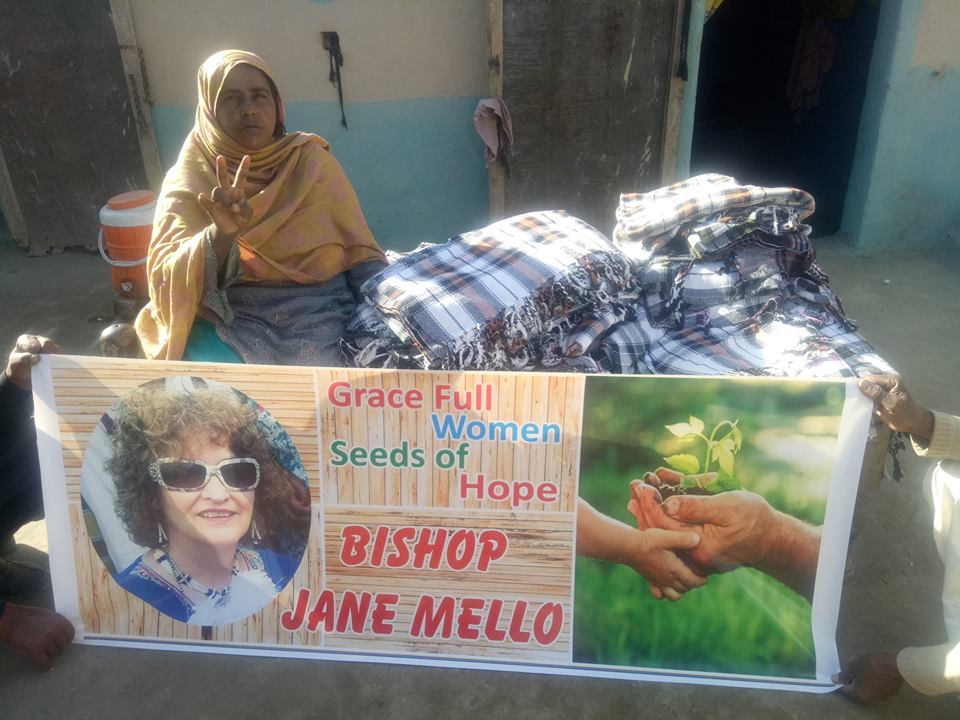 seeds-bashir-3_orig.jpg
