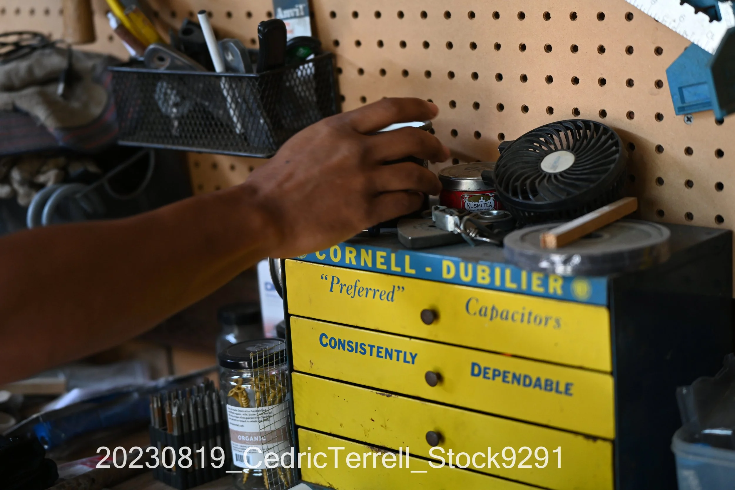 20230819_CedricTerrell_Stock9291.jpg
