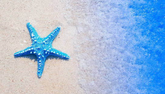 The Overlooked Value of Culture Misfits for Healthy Business Growth