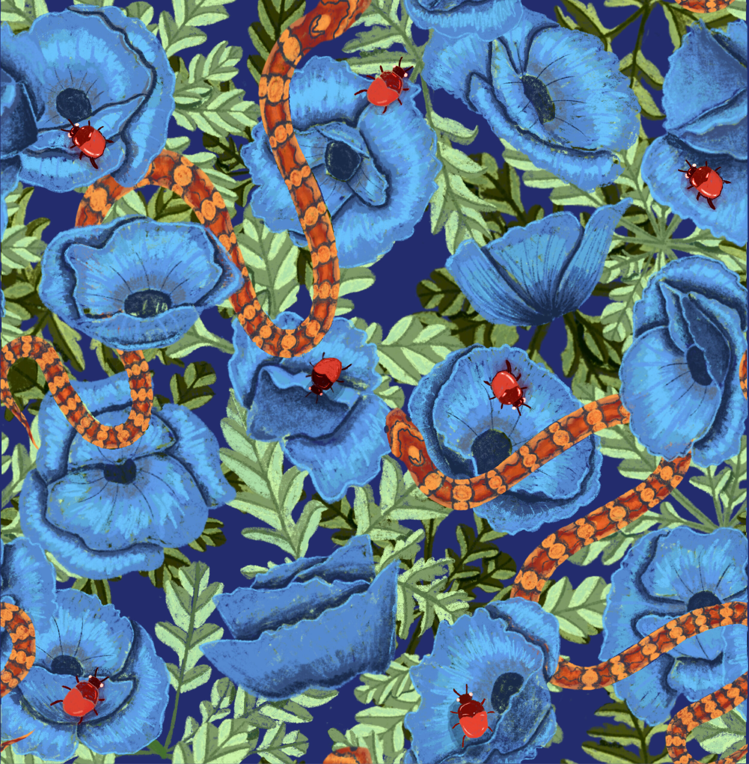 Pattern with backgrounds-01.jpg