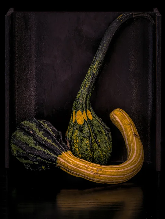 pumpkinsnov4a_0036Anearlydawnjpeg ca small.jpg