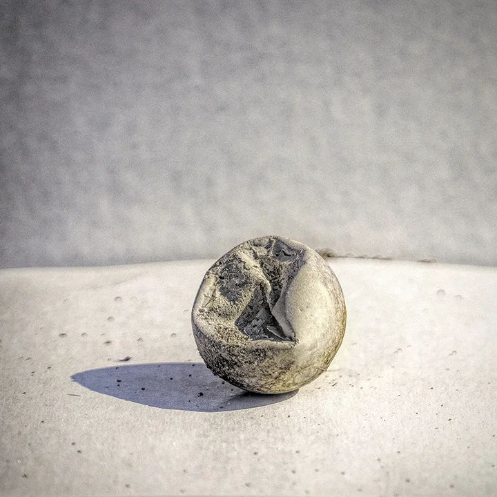 Sea Turtle Egg 1