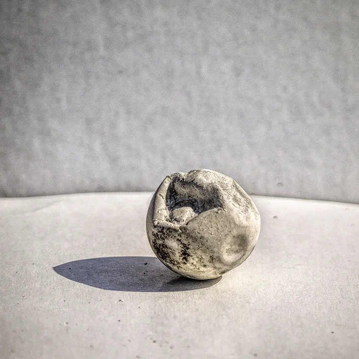 Sea Turtle Egg 2