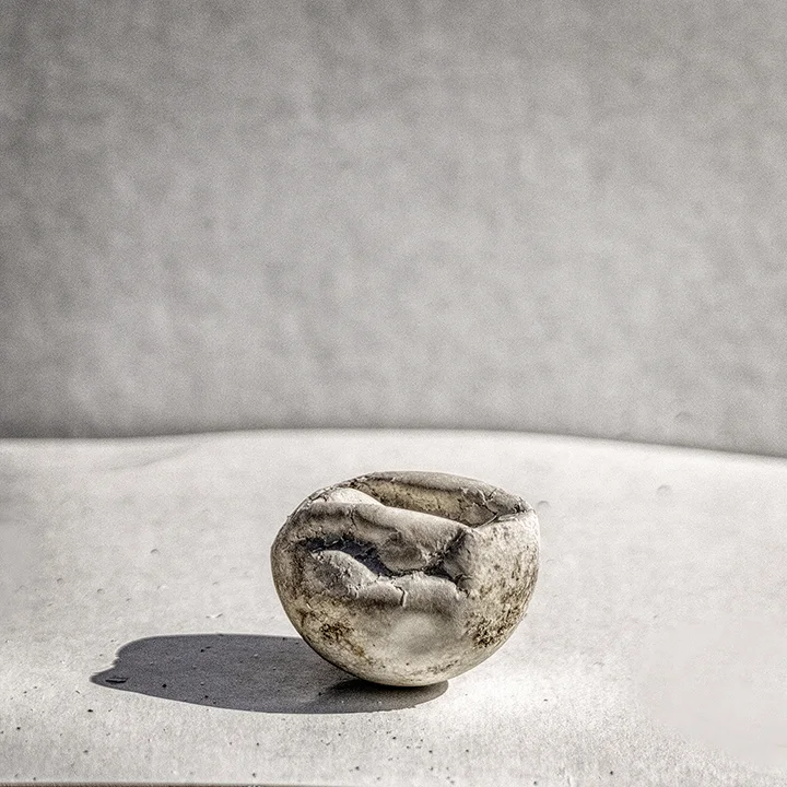 Sea Turtle Egg 3