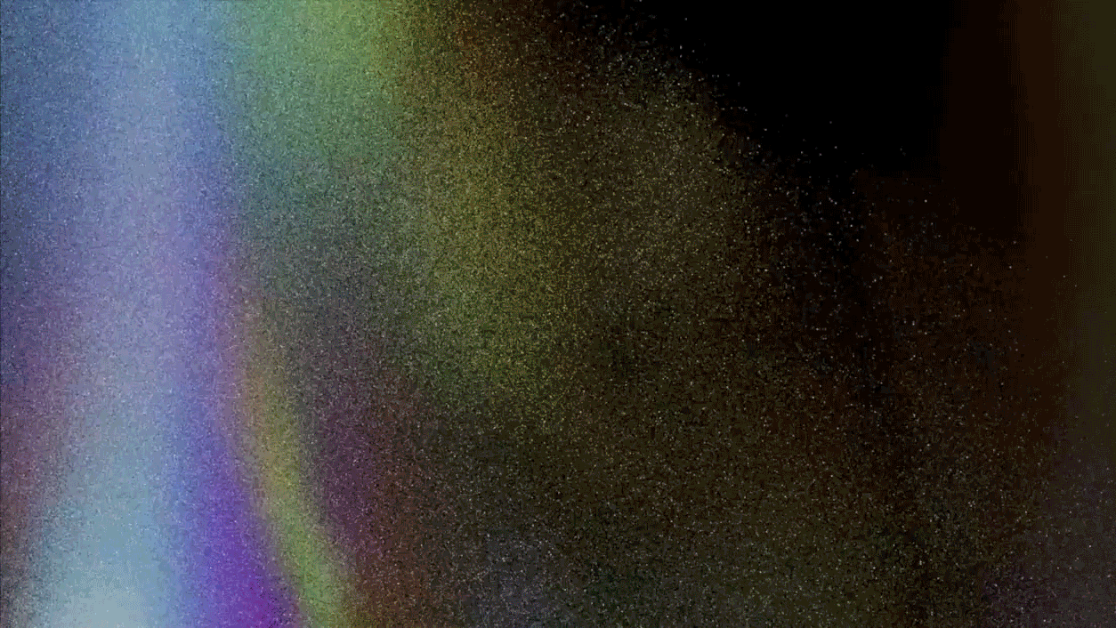 Dave's Picks | NYT Opinion | They Escaped During The Pandemic. Now They Must PAY.