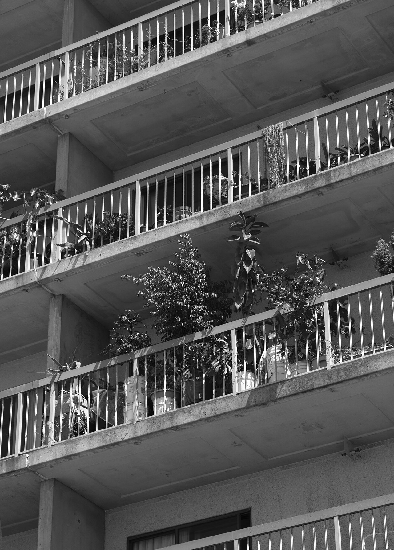 "It's important to see the beauty in the most overlooked and mundane urban environments," says Stone. Above, "Balcony Year," 2019, Oakland Credit: Chanell Stone
