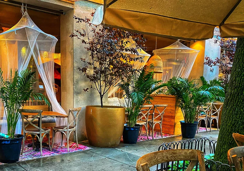 Dave's Picks | Outdoor Dining Awards!