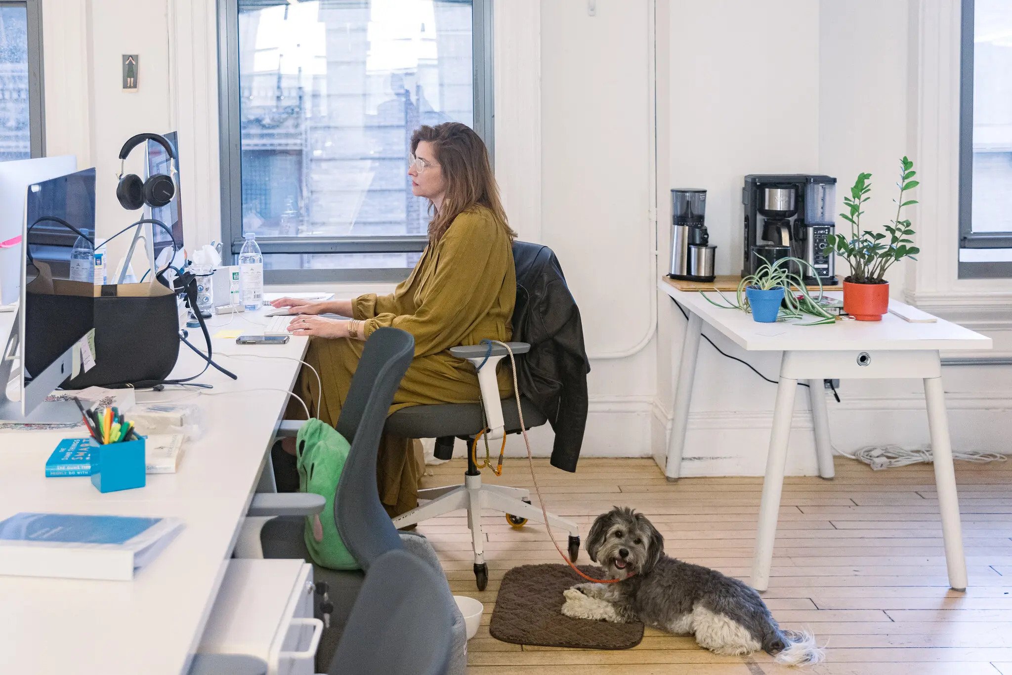 Dave's Picks | The Worst of Both Words: Zooming From The Office