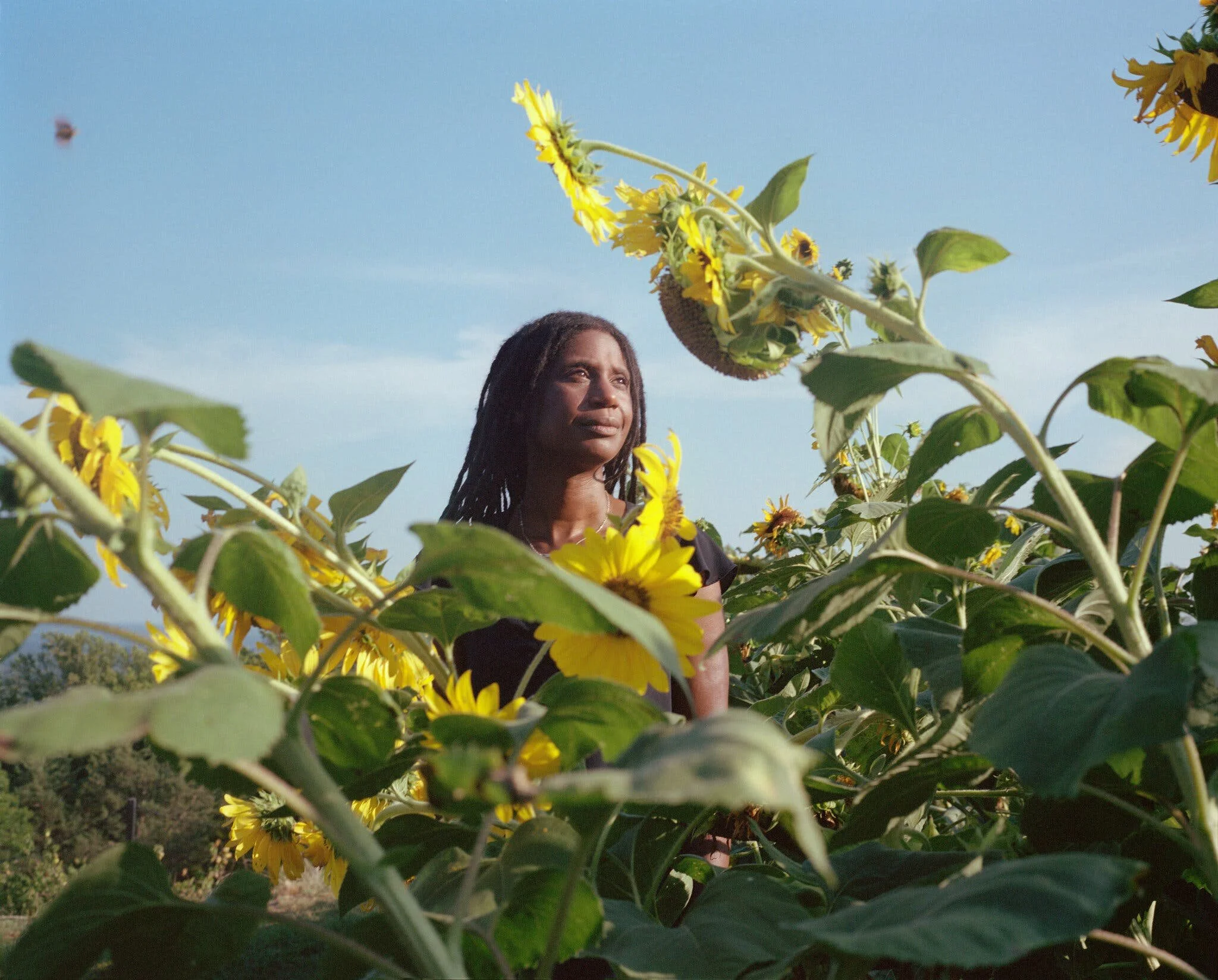 Dave's Picks | 10 Insightful Tips From People Proving It's Never Too Late