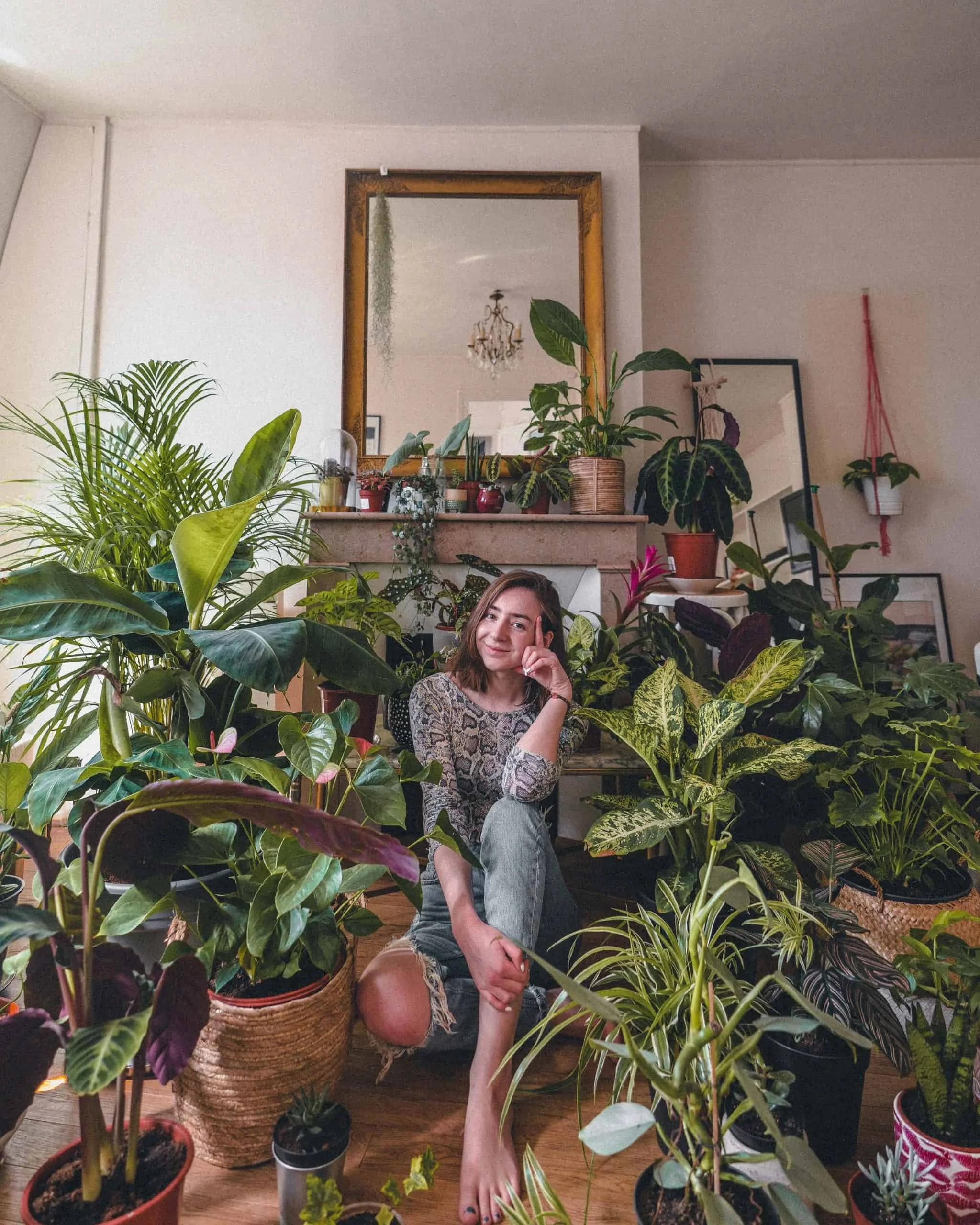Dave DIY | 7 Air Purifying Houseplants That Are Nearly Impossible To Kill